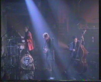 Cpncert Stray Cats Cpncert Stray Cats
